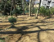 どきどきドッグPARK