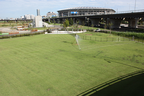 新横浜公園ドッグラン