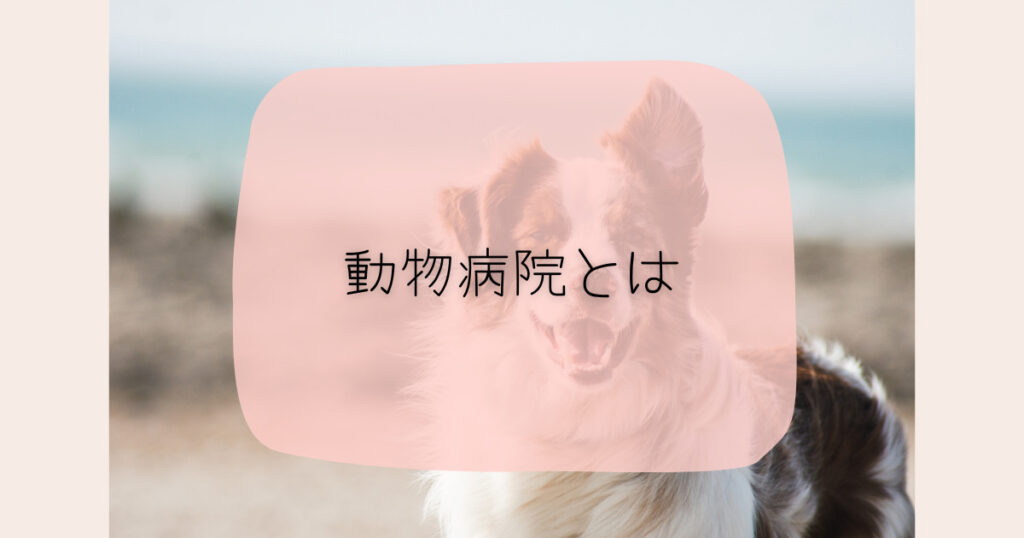 動物病院