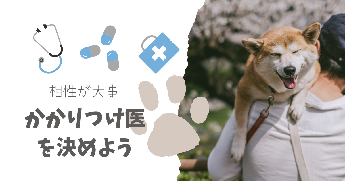 抱っこされる犬