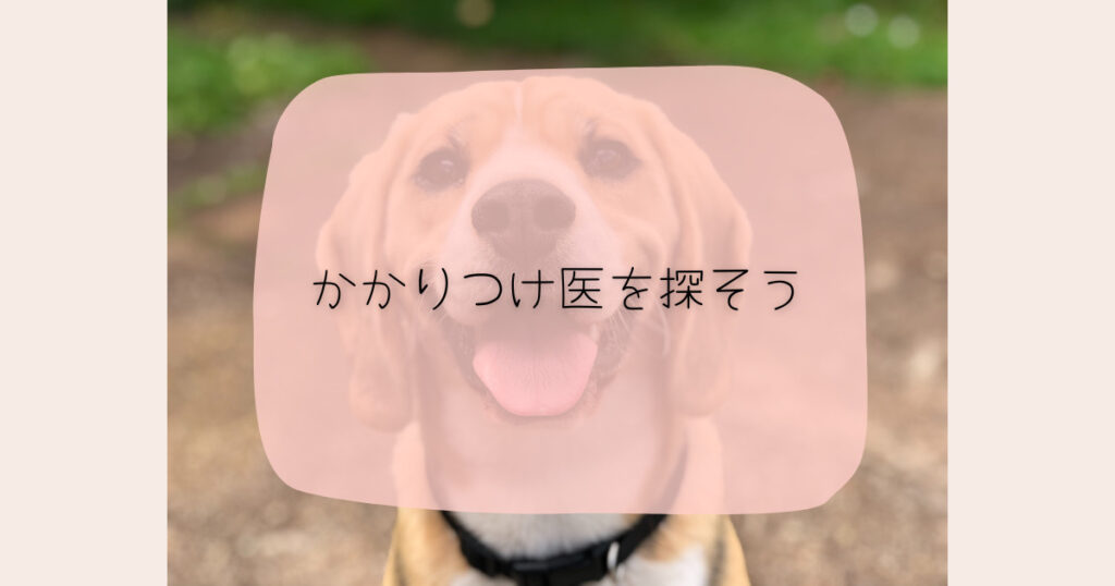 犬