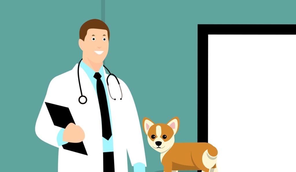 犬の医者