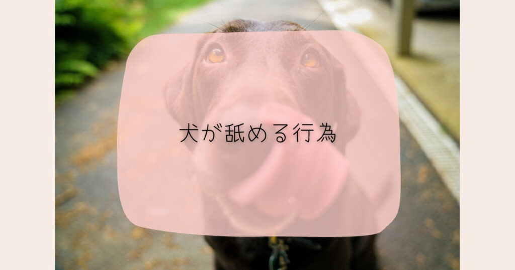 犬