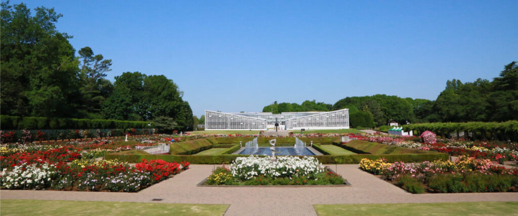 神代植物公園ドッグラン